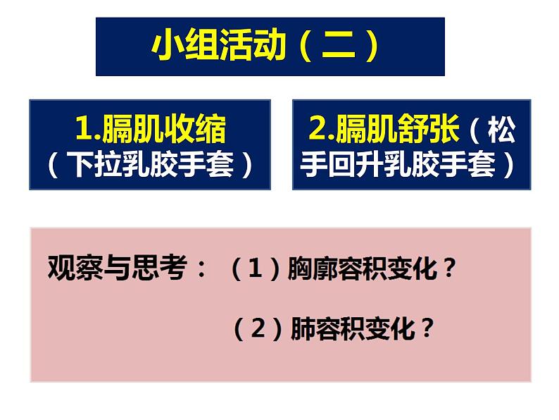 苏教版七下生物 10.3人体和外界环境的气体交换 课件08