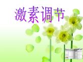 苏教版七下生物 12.1人体的激素调节 课件
