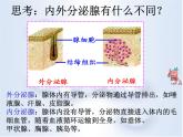 苏教版七下生物 12.1人体的激素调节 课件
