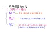 苏科版七下生物 8.1 生物体的基本结构 课件