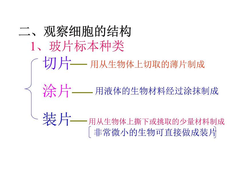 苏科版七下生物 8.1 生物体的基本结构 课件第4页