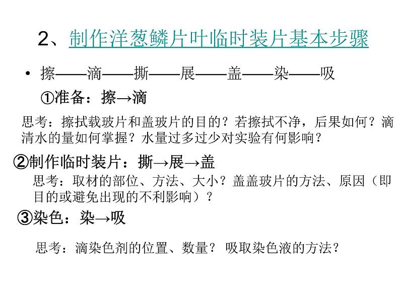 苏科版七下生物 8.1 生物体的基本结构 课件第5页