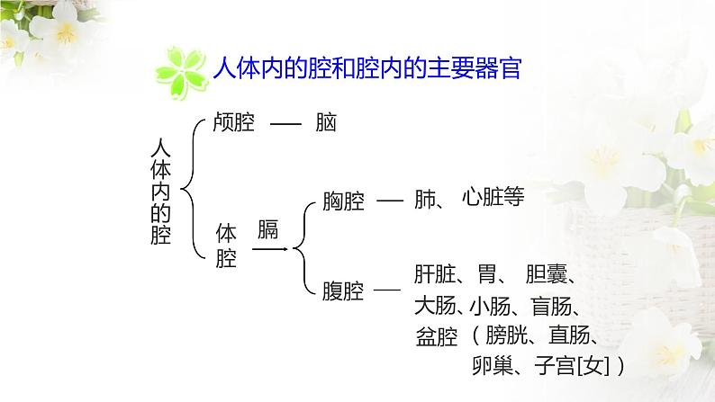 苏科版七下生物 9.2 人体的组成 课件08