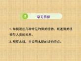 苏科版七下生物 10.2 水中的藻类植物 课件