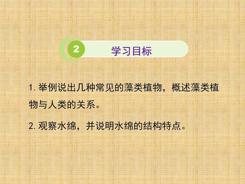 苏科版七下生物 10.2 水中的藻类植物 课件04