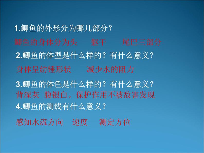 苏科版七下生物 10.1 水中的动物 课件05