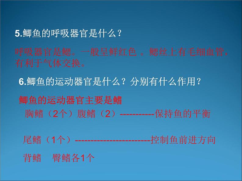 苏科版七下生物 10.1 水中的动物 课件06