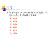 苏科版七下生物 11.2 地面上的动物 课件