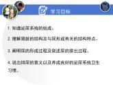 北师大版《尿的形成与排出》课件PPT