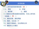 北师大版《尿的形成与排出》课件PPT