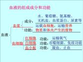 人教版七下生物  4.2血液的管理 血管  课件