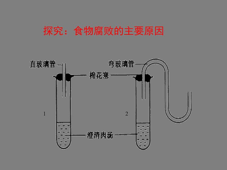 2022年苏教版八年级生物下册第23章第2节食品保存课件 (3)03