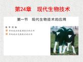 2022年苏教版八年级生物下册第24章第1节现代生物技术的应用课件 (5)