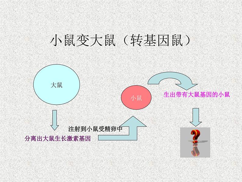 2022年苏教版八年级生物下册第24章第1节现代生物技术的应用课件 (5)第3页