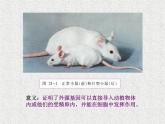 2022年苏教版八年级生物下册第24章第1节现代生物技术的应用课件 (5)