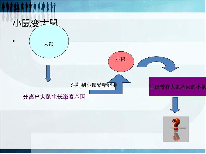 2022年苏教版八年级生物下册第24章第1节现代生物技术的应用课件 (3)第3页