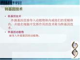 2022年苏教版八年级生物下册第24章第1节现代生物技术的应用课件 (3)