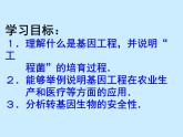 2022年苏教版八年级生物下册第24章第1节现代生物技术的应用课件 (2)