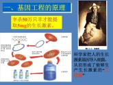 2022年苏教版八年级生物下册第24章第1节现代生物技术的应用课件 (2)