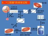 2022年苏教版八年级生物下册第24章第1节现代生物技术的应用课件 (2)