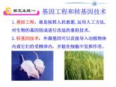 2022年苏教版八年级生物下册第24章第1节现代生物技术的应用课件 (1)