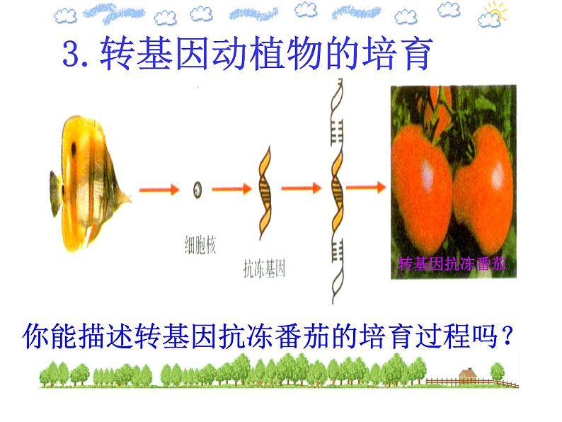 2022年苏教版八年级生物下册第24章第1节现代生物技术的应用课件 (1)第8页