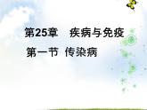 2022年苏教版八年级生物下册第25章第1节传染病课件 (3)