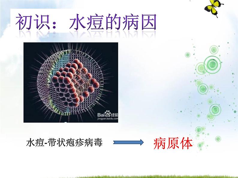 2022年苏教版八年级生物下册第25章第1节传染病课件 (3)03