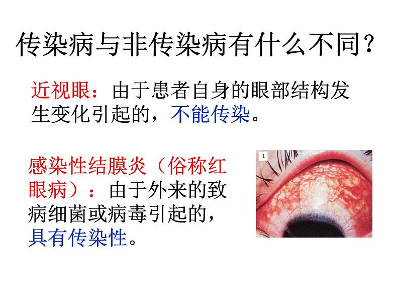 2022年苏教版八年级生物下册第25章第1节传染病课件 (2)第2页