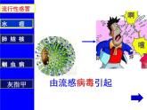 2022年苏教版八年级生物下册第25章第1节传染病课件 (2)