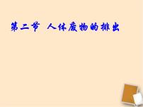 2020-2021学年第4单元 生物圈中的人第11章 人体内的废物排人环境第二节 人体废物的排出图文ppt课件