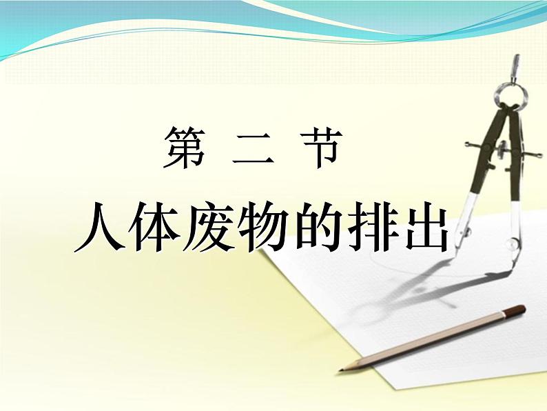 2022年苏教版七年级生物下册第11章第2节人体废物的排出课件 (6)01