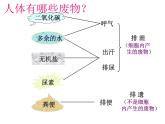 2022年苏教版七年级生物下册第11章第2节人体废物的排出课件 (6)