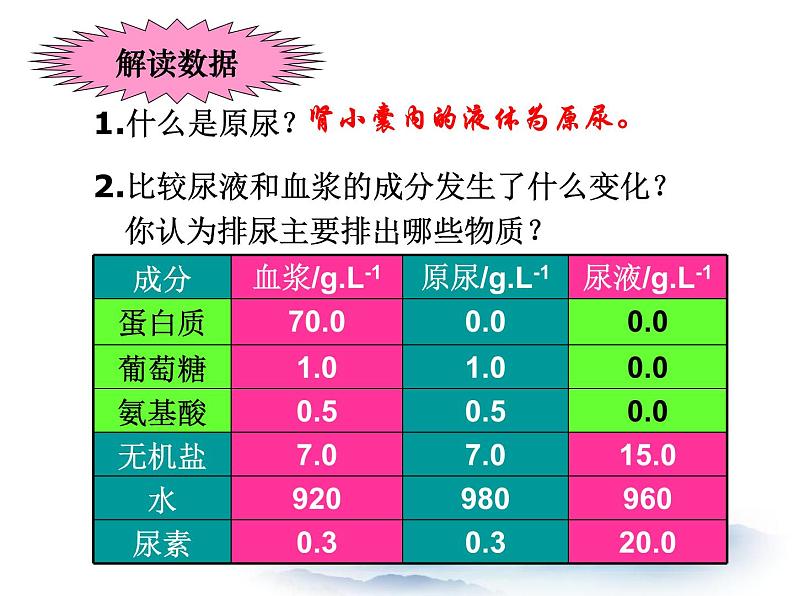 2022年苏教版七年级生物下册第11章第2节人体废物的排出课件 (2)05