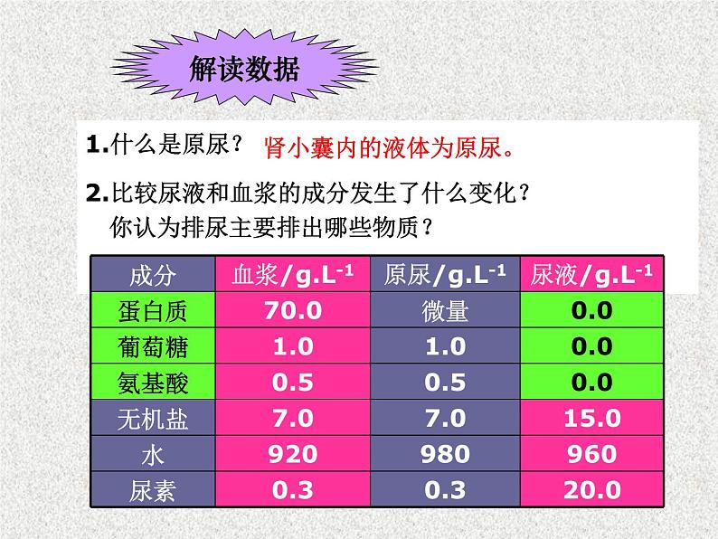 2022年苏教版七年级生物下册第11章第2节人体废物的排出课件 (3)08