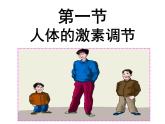 2022年苏教版七年级生物下册第12章第1节人体的激素调节课件 (5)