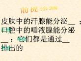 2022年苏教版七年级生物下册第12章第1节人体的激素调节课件 (1)