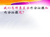 2022年苏教版七年级生物下册第12章第1节人体的激素调节课件 (3)