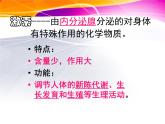 2022年苏教版七年级生物下册第12章第1节人体的激素调节课件 (3)