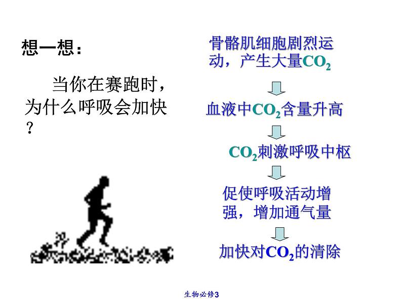 2022年苏教版七年级生物下册第12章第1节人体的激素调节课件 (4)第2页