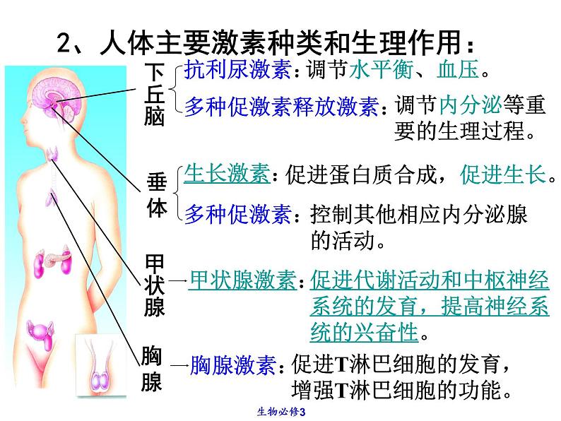 2022年苏教版七年级生物下册第12章第1节人体的激素调节课件 (4)第6页