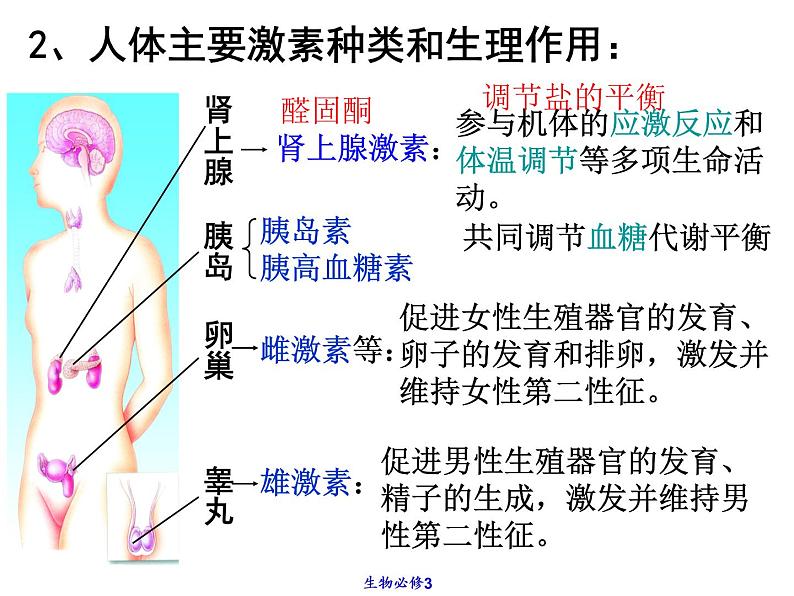 2022年苏教版七年级生物下册第12章第1节人体的激素调节课件 (4)第7页