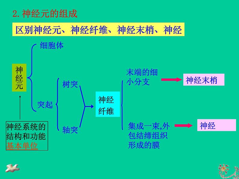 2022年苏教版七年级生物下册第12章第2节人体的神经调节课件 (1)第7页