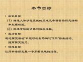济南版七年级下册生物 1.2消化和吸收 课件