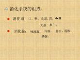 济南版七年级下册生物 1.2消化和吸收 课件