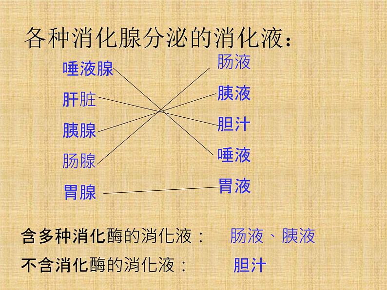 济南版七年级下册生物 1.2消化和吸收 课件第6页