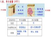 济南版七年级下册生物 5.1人体的激素调节 课件