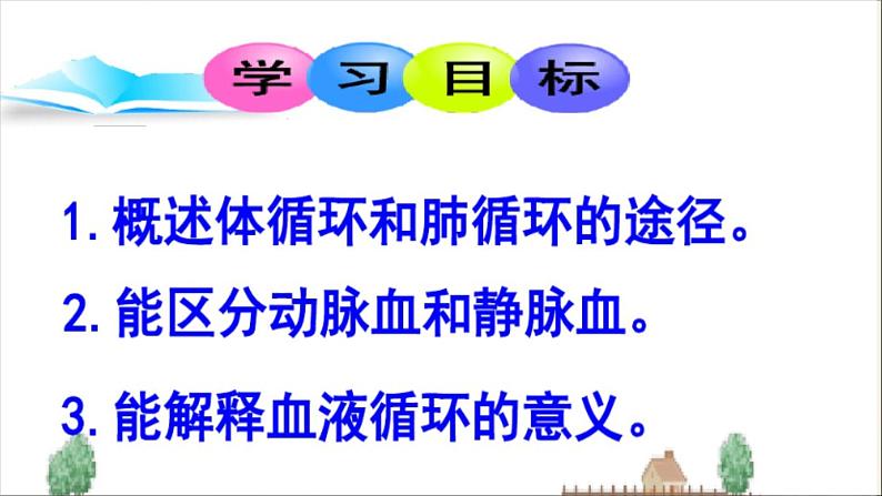 济南版七年级下册生物 3.3物质运输的途径 课件02