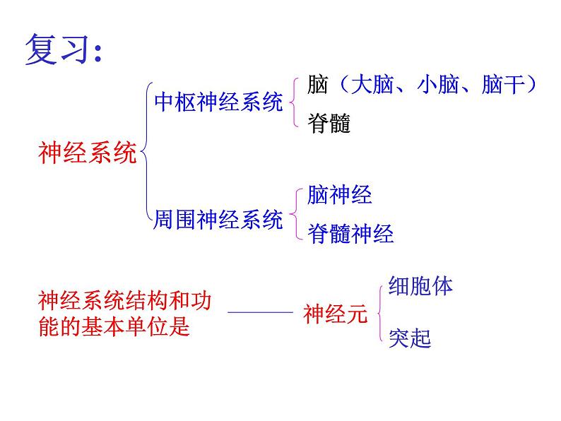 济南版七年级下册生物 5.3神经调节的基本方式 课件01