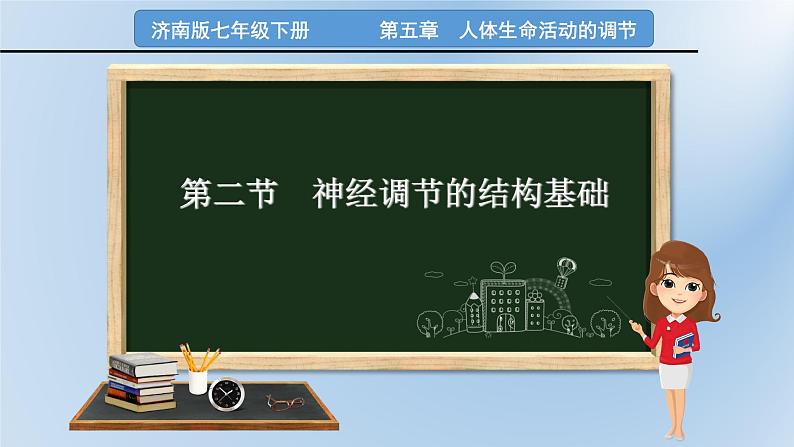 济南版七年级下册生物 5.2神经调节的结构基础 课件第3页